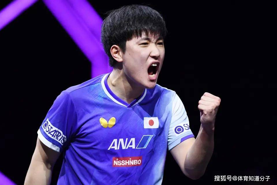 包含中国队绝杀法国队，张本智和点燃赛场的词条