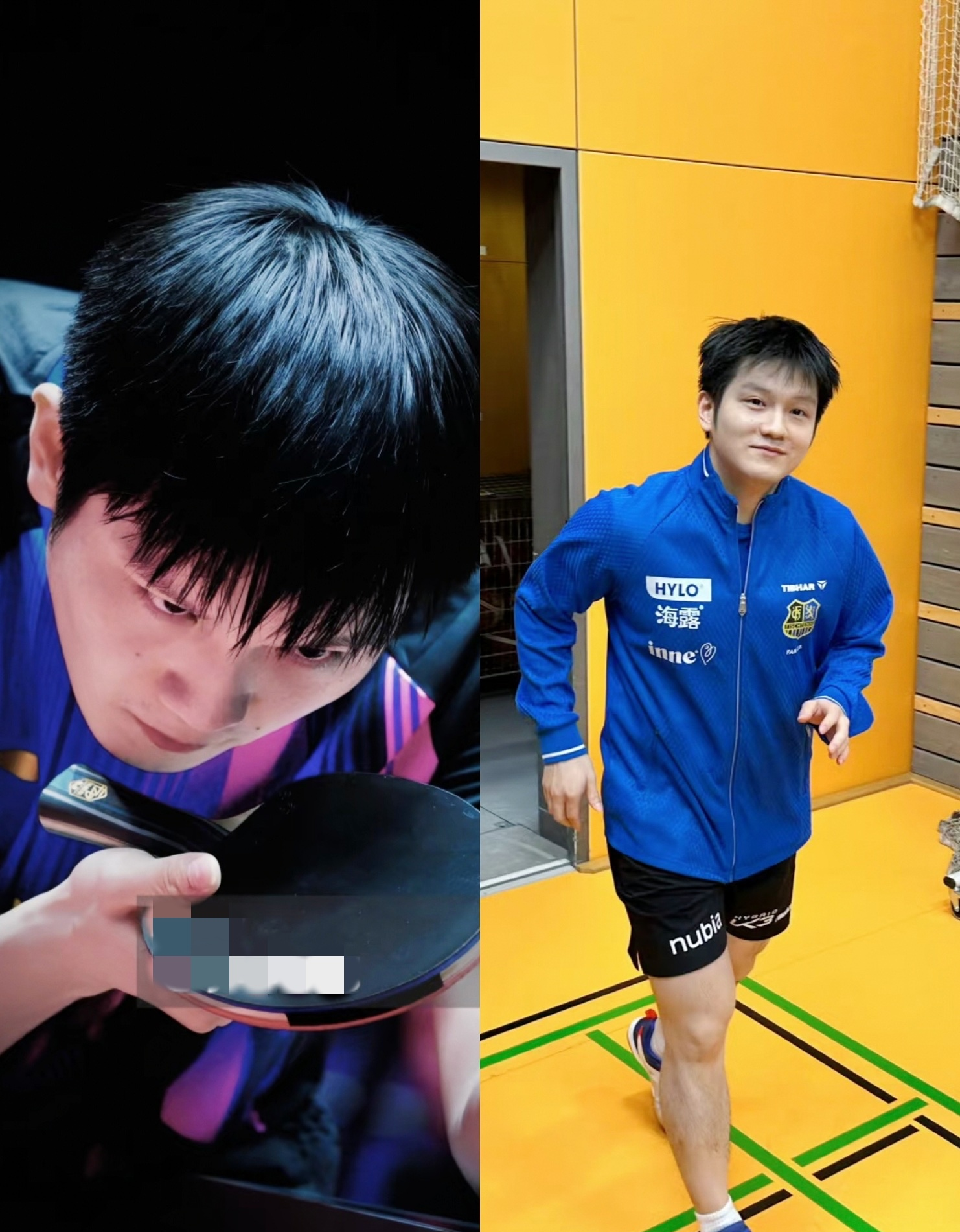 瑞典队完胜德国队,樊振东扛起全队的简单介绍 瑞典队完胜德国队,樊振东扛起全队的简单介绍