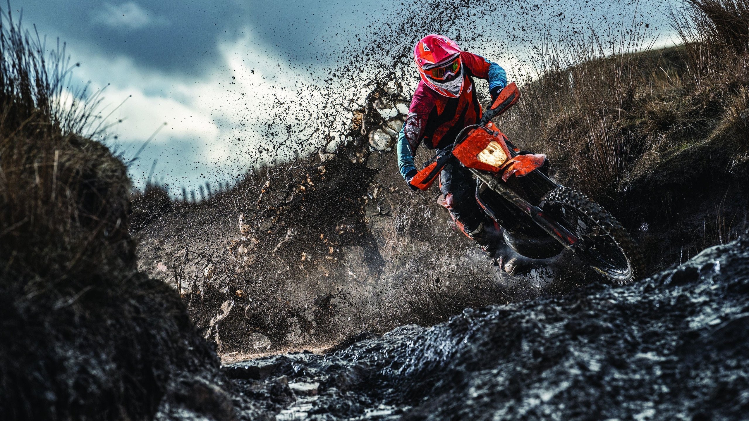 广厦队攻防转换碾压黄蜂，米切尔核心引擎驱动完美风暴